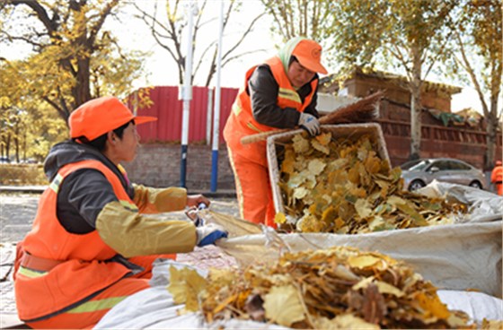 秋天落葉季來(lái)臨，還不趕緊來(lái)一臺(tái)駕駛式電動(dòng)清掃車