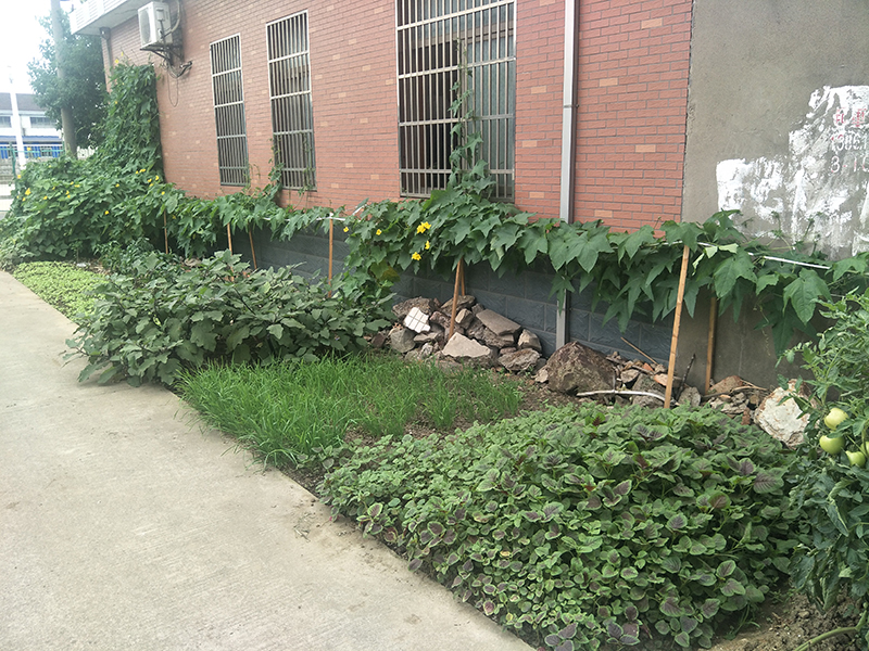 圣倍諾電動(dòng)清掃車廠家