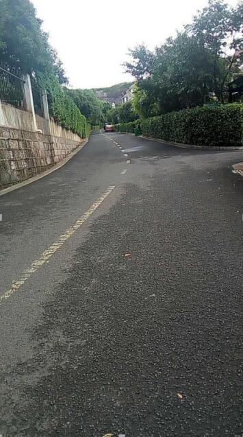 圣倍諾電動(dòng)掃地機(jī)別墅區(qū)應(yīng)用